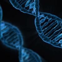 备孕前检查项目必不可少