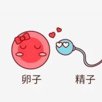 关于促排卵，试管婴儿人群应该知道的6个真相