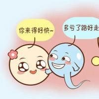 输卵管堵塞，到底是先做手术，还是直接试管婴儿？