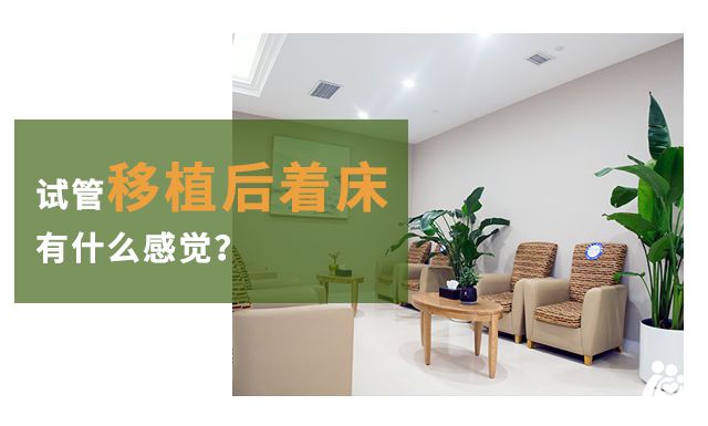 试管移植后着床有什么感觉