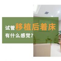 试管移植后着床有什么感觉