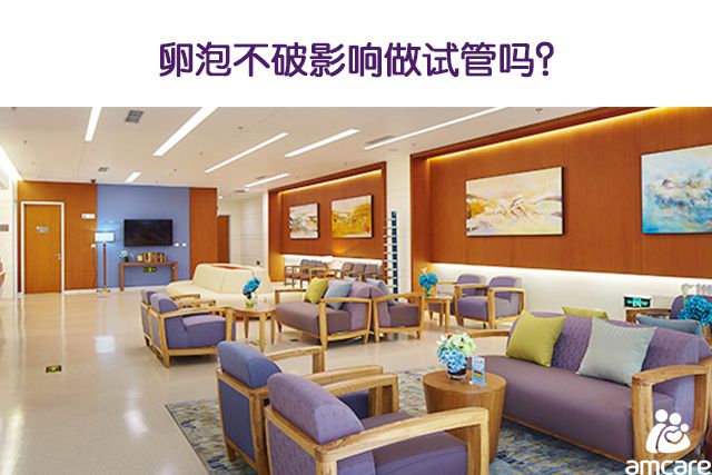 卵泡不破影响做试管吗