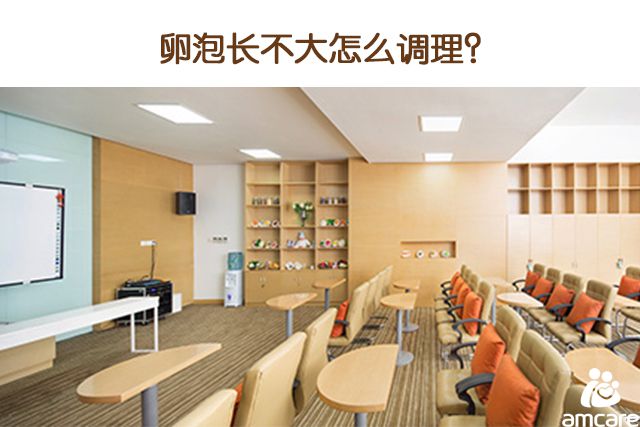 卵泡长不大怎么调理