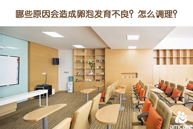 哪些原因会造成卵泡发育不良?怎么调理?
