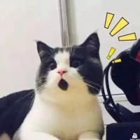 吃坚果能提高精子质量？坚果要卖断货了！