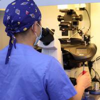 早孕试纸能看出单卵还是双卵双胎吗？