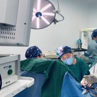 冻胚和囊胚移植时，免疫治疗的提升效果一样吗？