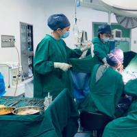 我到底适合自然周期还是人工周期？哪种方案成功率更高？